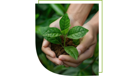 Programas Ambientais e Sociais